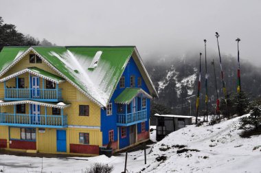 Parlak görünümlü, parlak mavi, yeşil, karla kaplı bir kulübe.