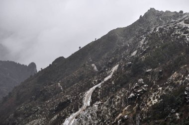 Tepeye çıkan yol kısmen kar ve bakir ormanlarla kaplı.
