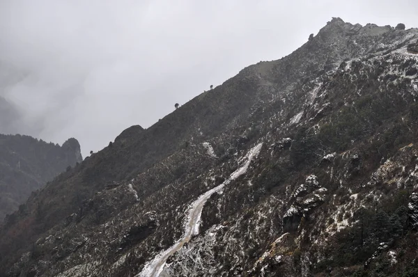 Tepeye çıkan yol kısmen kar ve bakir ormanlarla kaplı.