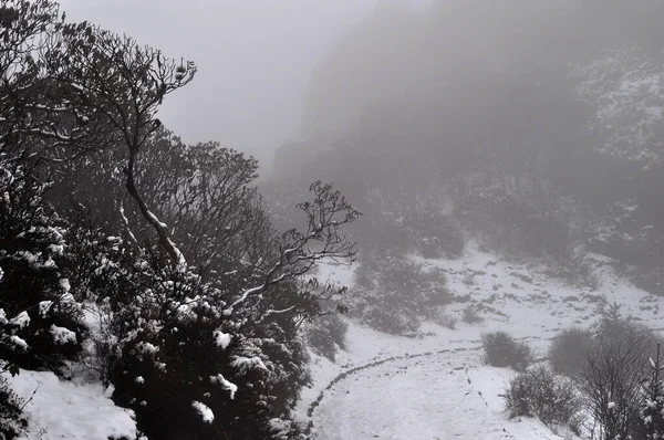 Hava çok kötü ve Himalaya köyüne giden yol karla kaplı.