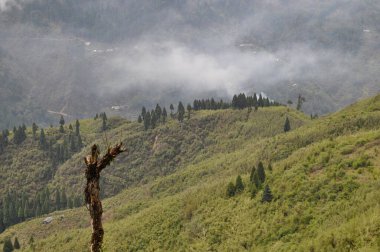 Güzel Himalya vadisi tepelerin üzerinde yüzen bulutlarla