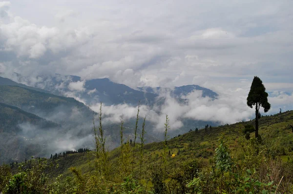 Güzel Himalya vadisi tepelerin üzerinde yüzen bulutlarla