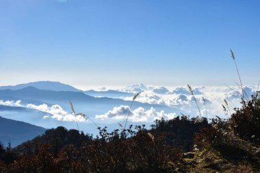 Çam ormanlı manzara, sıralanmış tepeler ve mavi gökyüzündeki bulutlar