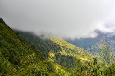 Tepeleri, gümüşi sisi ve bulutu olan resimli bir dağ yamacı.