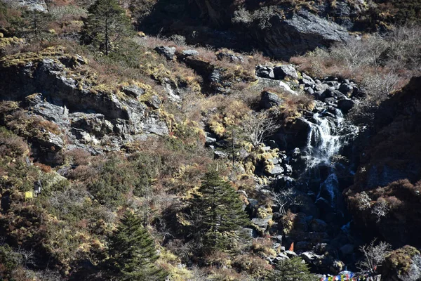 Arroyo Cascada Del Himalaya Con Árboles Piedra Pino — Foto de Stock