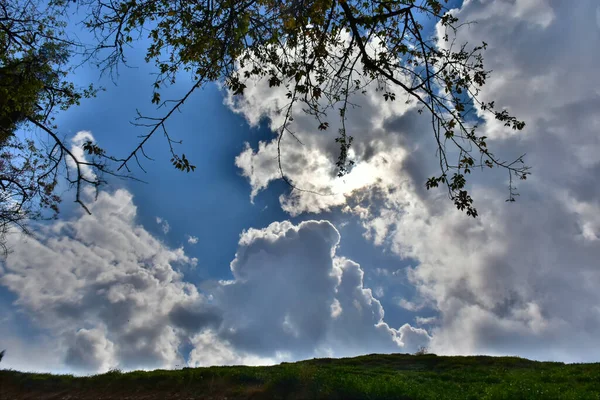 Όμορφο Μοτίβο Σύννεφο Μπλε Ουρανό Στο Temi Tea Estate Φωλιασμένο — Φωτογραφία Αρχείου