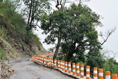 Tepede asfalt yol ve yansıtıcı sütunları olan güzel ağaçlar. .