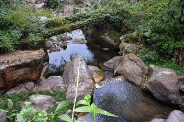 Durgun berrak suları, yeşil ormanı ve kayaları olan Himalyan nehirleri..