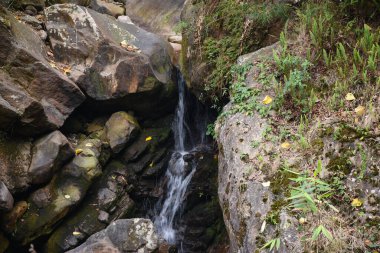 Himalaya şelalesi berrak su ve büyük taşlarla.