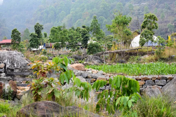 一个理想的家 在河流的天然堤坝之上 有着美丽的风景 Kalimpong Todey — 图库照片