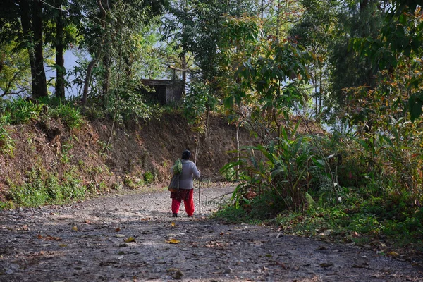 Orman yolu, sopayla yürüyen yalnız kadın..