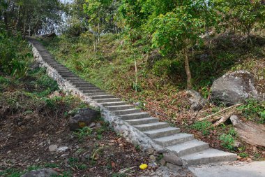 Himalayalar 'daki yeşil ağaçlı merdiven, Todey, Kalimpong.