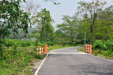 Dağ eteklerindeki yol, Kalimpong Ormanı, Hindistan.