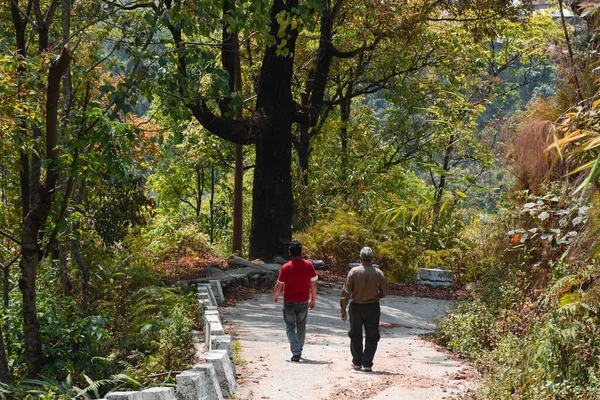 Serpentine road with two man walking down , exotic view of himalayan forest.