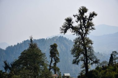 Ariel manzarası, ağaçlı manzara, çıkıntılar ve kıvrımlı karayolu.