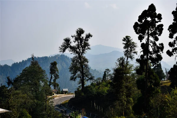 Vista Ariel Paisaje Con Árbol Crestas Carretera Con Curvas —  Fotos de Stock