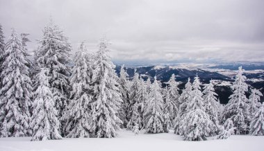 Dağdaki sisli kış manzarasının manzarası