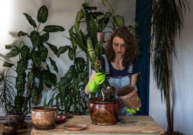 Evin içine çiçek eken kadın bahçe işleriyle uğraşıyor.