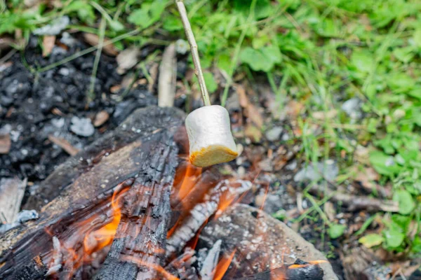 Grilled Marshmallow Stick Big Brown Golden Sweet Marshmallow Roasting Fire — Stock Photo, Image