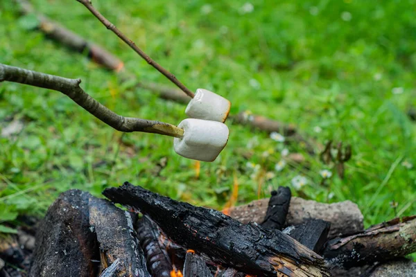 Çubukta ızgara marşmelov. Büyük, kahverengi, tatlı, ateşte kızaran marşmelov. Kömürde kızartılmış, yenmeye hazır şişte marshmallow. Tatlı tatlı, doğada dinlenmek için tatlı.