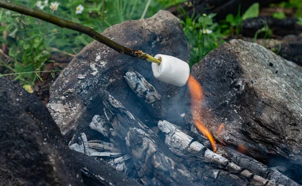 Çubukta ızgara marşmelov. Büyük, kahverengi, tatlı, ateşte kızaran marşmelov. Kömürde kızartılmış, yenmeye hazır şişte marshmallow. Tatlı tatlı, doğada dinlenmek için tatlı.