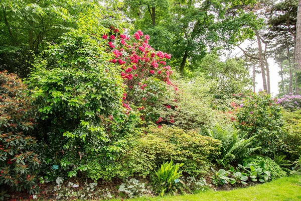 Percorso Giardino Prati Verdi Con Vialetti Mattoni Progettazione Paesaggistica Del — Foto Stock