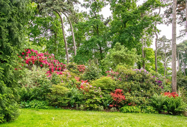 Percorso Giardino Prati Verdi Con Vialetti Mattoni Progettazione Paesaggistica Del — Foto Stock