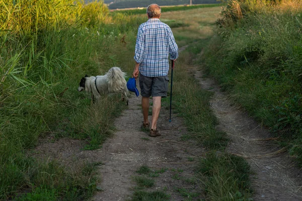 aktif yaşlılar ve yaşam tarzı konsepti. Yaşlı adam yürüyor.