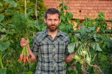 Bahçede taze taze fasulye hasadı, organik gıda yetiştirmek erkek çiftçi bahçeden taze sebze toplamak.