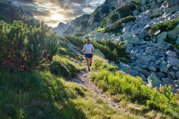 夏に山を走る男のトレイルトレイル夏に山を走る男のトレイルトレイルを走る男のアスリートは 屋外の山の風景を実行します 難しい耐久トレーニング太陽の下で超ランニングマラソンレース — ストック写真