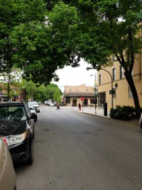 Arka planda ağaçla caddeden karşıya geçen kimliği belirsiz bir çift Chicago 'da ön planda çekim yapıyor.