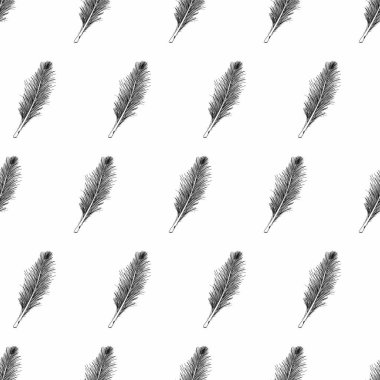 Gerçekçi tüy deseni. Dekorlar, süsler, duvar kağıtları, hediyeler, damaske, kutlamalar, tatiller, doğa temaları için fikirler. İzole vektör şablonu.