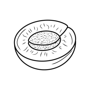 Kayısı ikonunun kreatif hatlarının çizimi. Dekorlar, logolar, hediyeler, süsler, kutlamalar, davetiyeler, selamlama, bahar tatilleri, doğa ve meyve temaları için fikirler. Vejetaryen. İzole edilmiş.