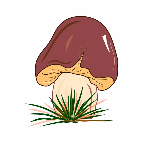 Boletus mantar çizimi. Renkli doğa. Mantarlar. Dekorasyon fikirleri, çerçevedeki resim, hediyeler, süsler, kutlamalar, davetiyeler, selamlama, logo, sonbahar tatilleri, çevre temaları.