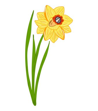 Narcissus plant icon. Creative illustration. Colorful sketch. Idea for decors, logo, patterns, papers, covers, gifts, summer and spring holidays, floral natural themes. Isolated vector art.