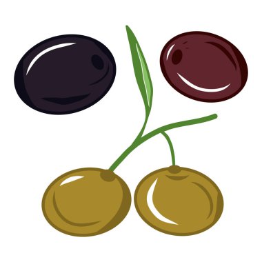 Three types of olives icons. Illustrations. Colorful sketch. Idea for decors, logo, patterns, papers, covers, gifts, summer and autumn holidays, floral natural themes. Isolated vector art.