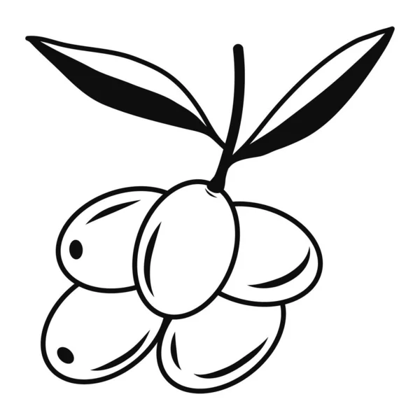 Olives on branch icons. Black illustration. Contour liner sketch. Idea for decors, logo, patterns, papers, covers, gifts, summer and autumn holidays, floral natural themes. Isolated vector art.