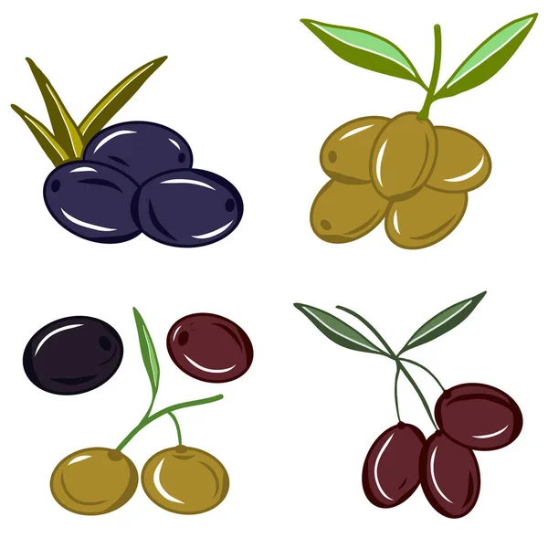 Set Olives Branch Icons Illustrations Colorful Sketch Idea Decors Logo — Image vectorielle