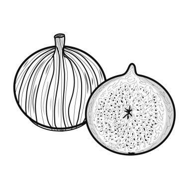 Contour incir ikonu. Yaratıcı illüstrasyon. Siyah çizim. Dekorlar, logolar, desenler, kağıtlar, kapaklar, hediyeler, yaz ve sonbahar tatilleri, organik gıda temaları. İzole vektör sanatı. Mevsimlik.