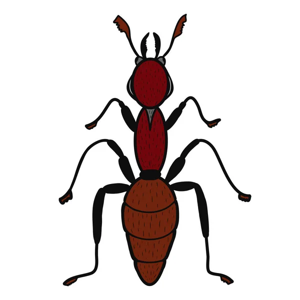 Ameisensymbol Kreative Illustration Bunte Skizze Idee Für Dekore Logo Muster — Stockvektor