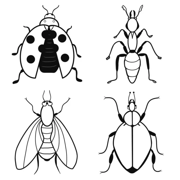 Böcek ikonları: uğur böceği, karınca, sinek, patates böceği. Contour eskizi. Dekorlar, logolar, desenler, kağıtlar, kapaklar, hediyeler, yaz ve sonbahar bahçeleri, böcek doğal temaları. İzole vektör sanatı.