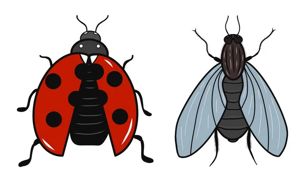 Marienkäfer Und Fliege Symbole Kreative Illustrationen Bunte Skizze Idee Für — Stockvektor