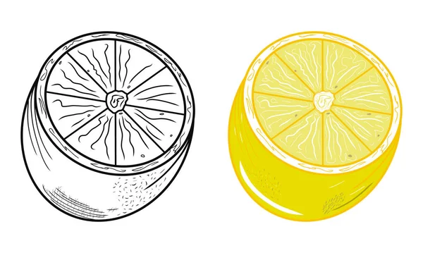 Icônes Contour Demi Limons Jaunes Croquis Idées Décors Logo Motifs — Image vectorielle