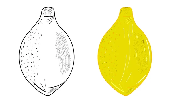 Contour ve sarı bütün limon simgeleri. Robot resim. Dekorlar, logolar, desenler, kağıtlar, kapaklar, hediyeler, yaz ve bahar tatilleri, organik gıda temaları. İzole vektör sanatı.