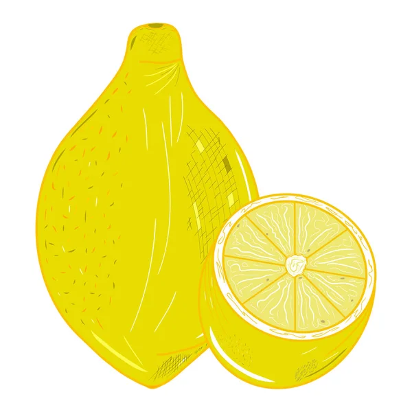 Tam ve yarım sarı limon simgeleri. Yaratıcı illüstrasyon. Renkli çizim. Dekorlar, logolar, desenler, kağıtlar, kapaklar, hediyeler, yaz ve bahar tatilleri, organik gıda temaları. İzole vektör sanatı.