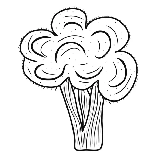 Brokkoli Symbol Kreative Illustration Schwarze Skizze Ideen Für Dekore Logo — Stockvektor