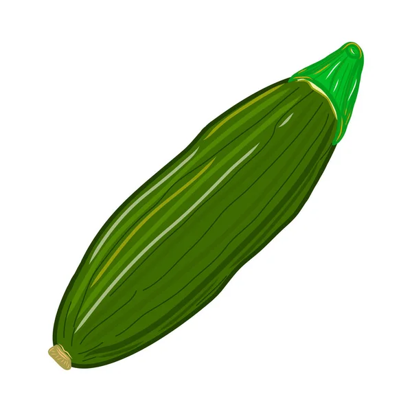 Zucchini Ikonen Kreativ Illustration Färgglad Skiss Idé För Inredning Logotyp — Stock vektor