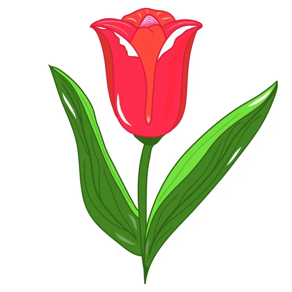 Tulip Icon Creative Illustration Colorful Sketch Idea Decors Logo Patterns — Stock Vector