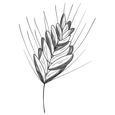 Kulak simgesi. Siyahların çizimlerini göster. Doğal alan teması. Sonbahar. Dekorlar, logolar, kapaklar, tatiller, hediyeler, sanat. İzole vektör.