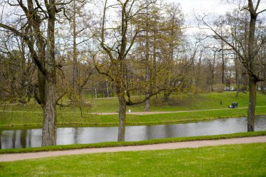 Nehirli bir parkın manzarası ve insanları gezdirme